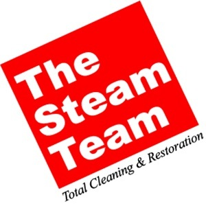 The Steam Team