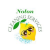 Nolon Cleaning