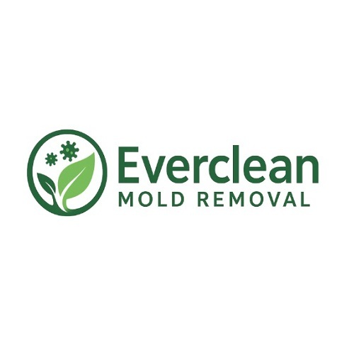 Everclean Mold Removal Of Tampa