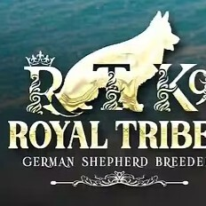 Royal Tribes K9