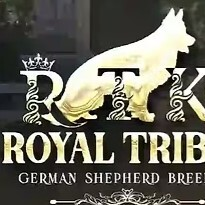 Royal Tribes K9