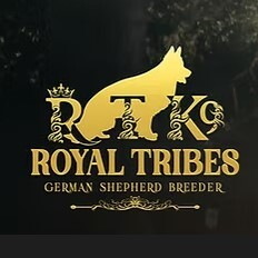 Royal Tribes K9