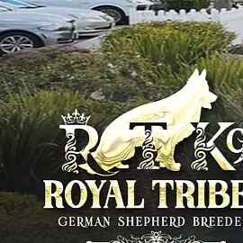 Royal Tribes K9