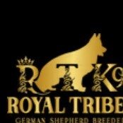 Royal Tribes K9
