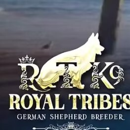 Royal Tribes K9