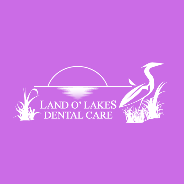 Land O' Lakes Dental Care