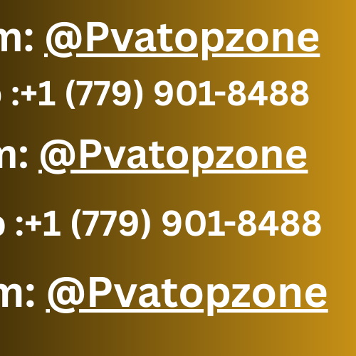 Top 12 Sites To Buy Old Github Accounts In 2025 | Beat