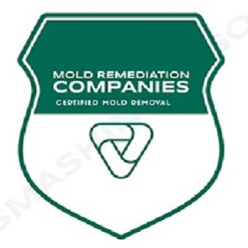 New Port Richey Mold Remediation Pros