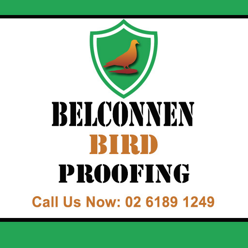 Belconnen Bird Proofing