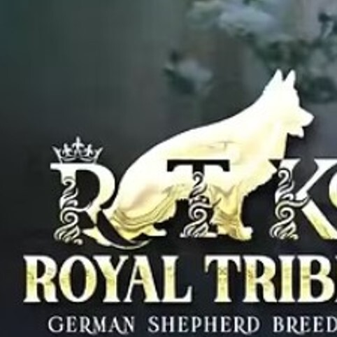 Royal Tribes K9