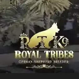 Royal Tribes K9