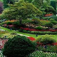 Greenview Basildon Landscaping