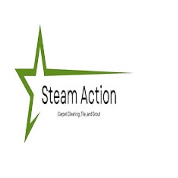 Steam Action Carpet Cleaning