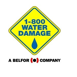 1-800 Water Damage of Athens