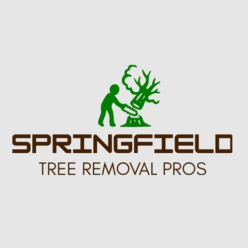 Springfield Tree Removal Pros