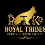 Royal Tribes K9