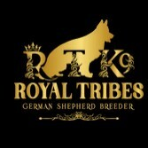 Royal Tribes K9