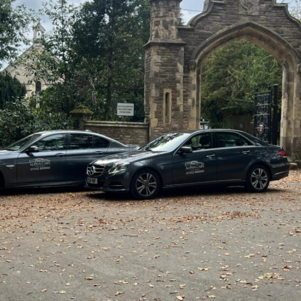 Alpha cars new forest