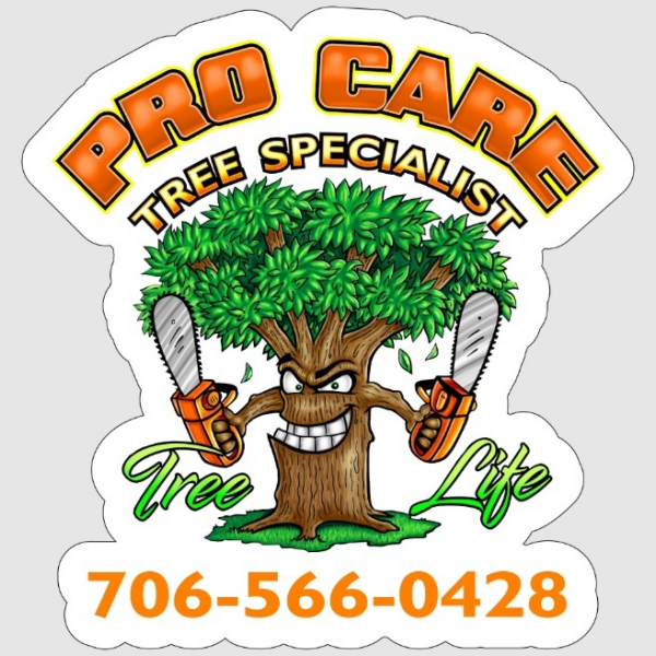 Pro Care Tree Specialist
