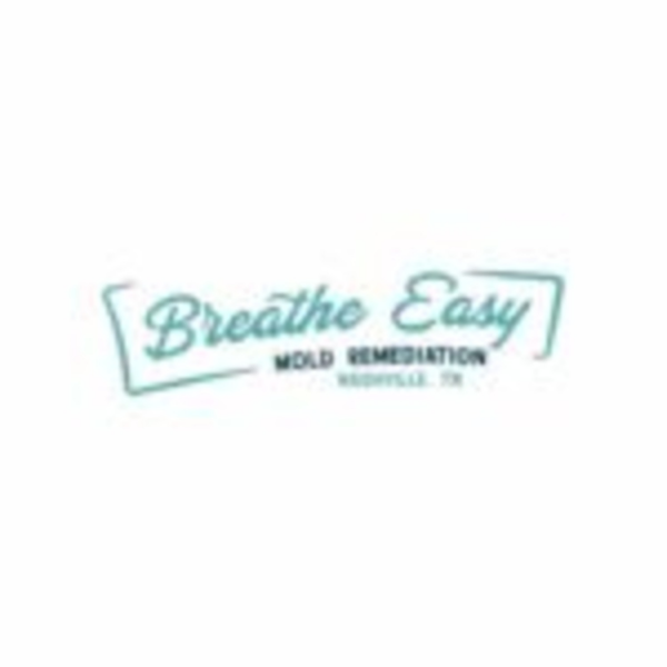 Breathe Easy Mold Remediation