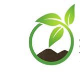 Soil and Seed Landscaping