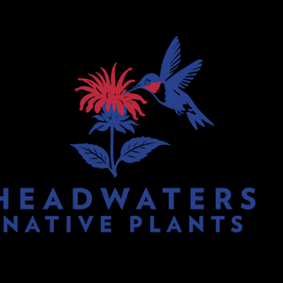 Appalachian Headwaters