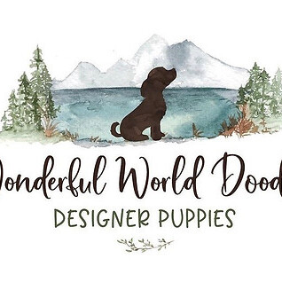 Wonderful World Doodles