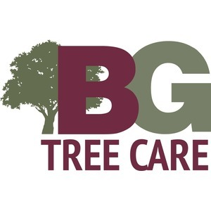 BG Tree Care