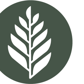 Cedar Wellness Center