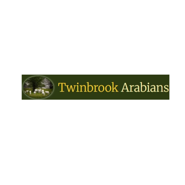Twinbrook Arabians