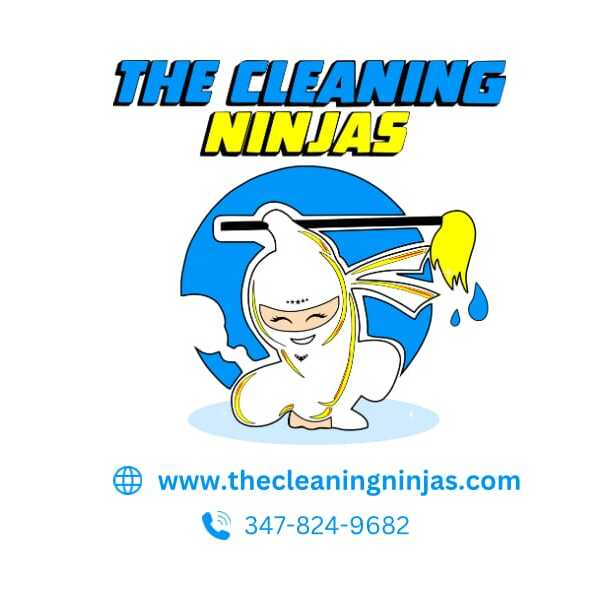 The Cleaning Ninjas Inc