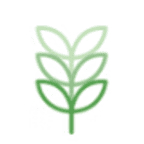 HMA Therapi | Jay Chung, LAc., CHom., PhD