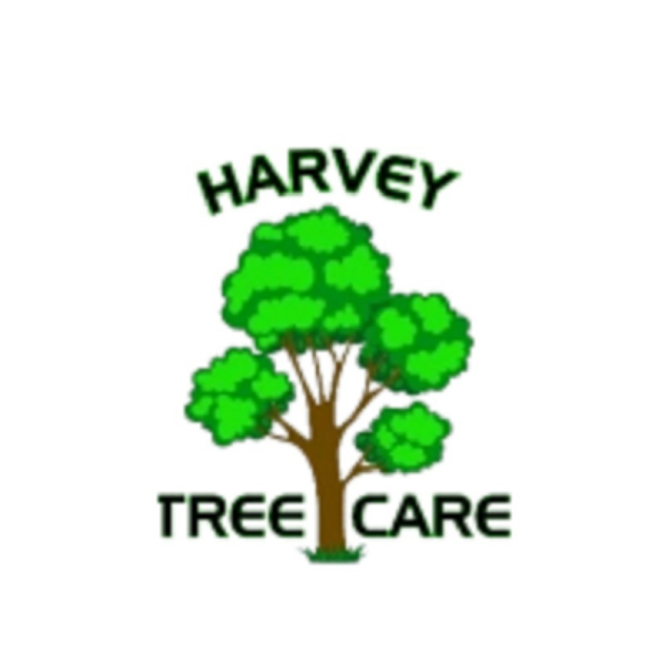 Harvey Tree Care