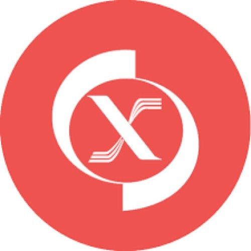 rongbachkimchinhxac100me