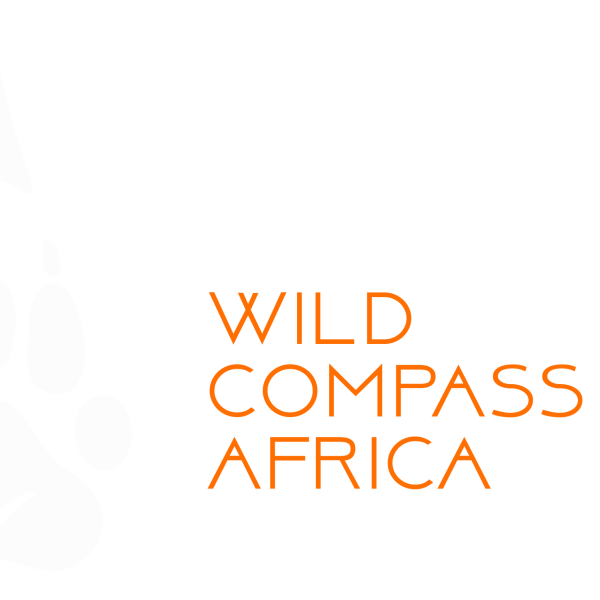 Wild Compass Africa