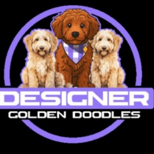 Designer Golden Doodle Puppies