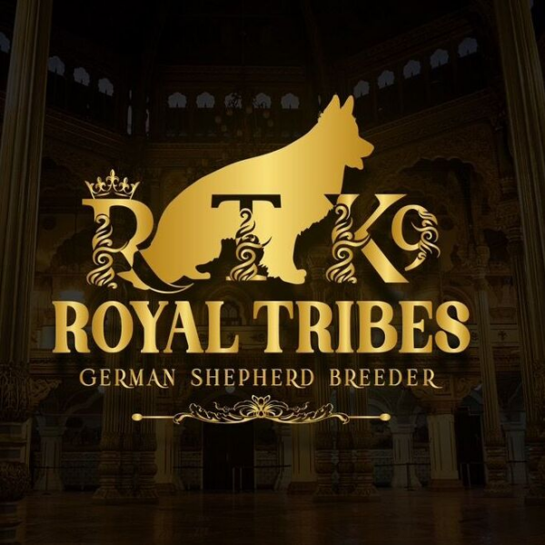 Royal Tribes K9