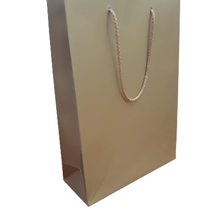 Kraft paper bag Singapore