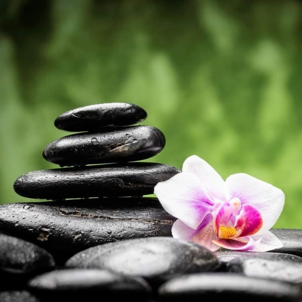 Center for Acupuncture & Anti-Aging Medicine