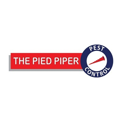 The Pied Piper