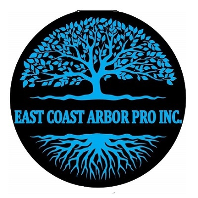 East Coast Arbor Pro Inc.