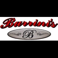 Burrini's & Sons Contracting LLC