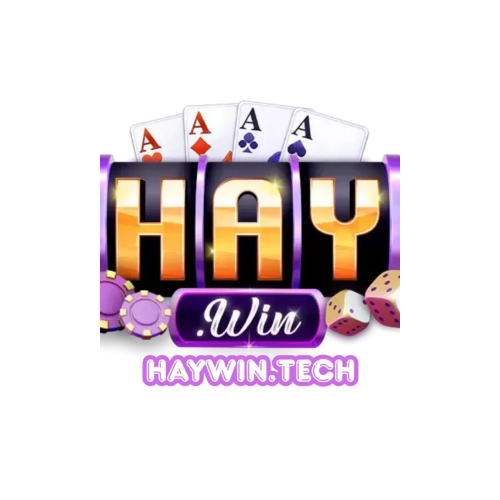 Haywin tech