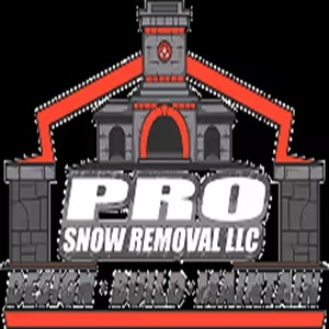 Pro Snow Removal
