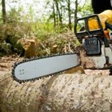 Troy Tree Service Hub