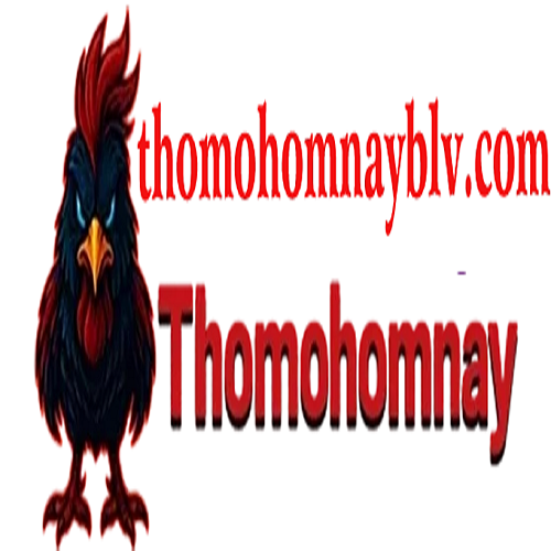 thomohomnayblvcom