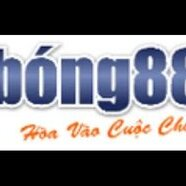 BONG88 Lipaugmentation