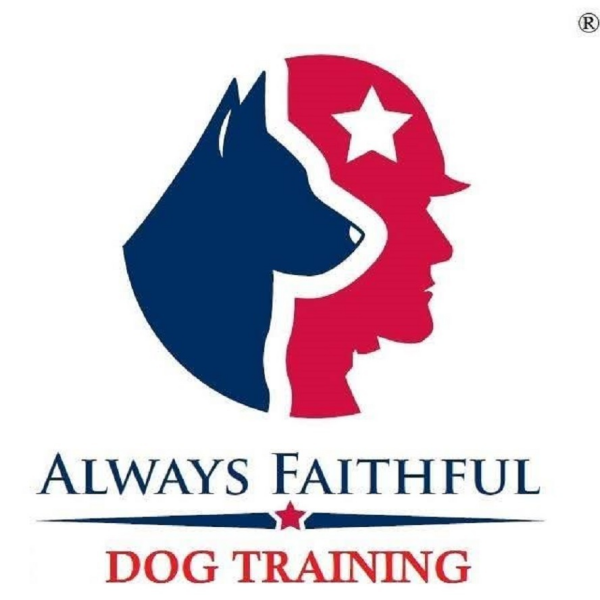 Always Faithful Dog & Puppy Training Louisville KY
