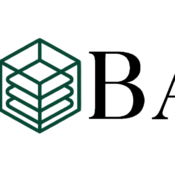 BAGAIL INC