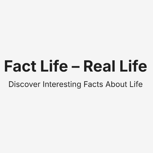 Fact Life - Real Life